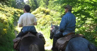 Randonnée à cheval et cours d'équitation - L'Eperon Randonnée à cheval et cours d'équitation - L'Eperon