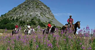 Randonnée à cheval et cours d'équitation - L'Eperon Randonnée à cheval et cours d'équitation - L'Eperon