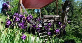Gîte La Maison Utopie Le paradoxe perdu Gîte La Maison Utopie Le paradoxe perdu