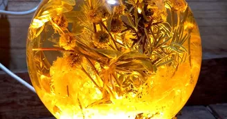 L'Atelier Fantalgébrique L'Atelier Fantalgébrique