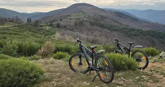 Cyclo'bogue