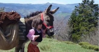 Balade avec les ânes du Coudoulet