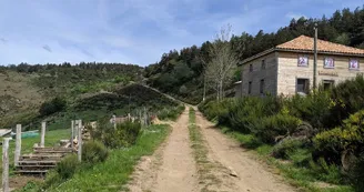 Balade avec les ânes du Coudoulet