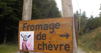 Balade avec les ânes du Coudoulet