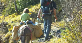 Balade avec les ânes du Coudoulet