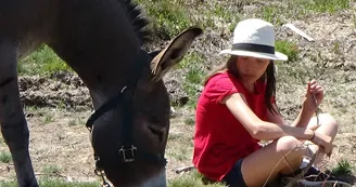 Balade avec les ânes du Coudoulet