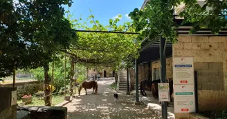 Gîte du Foussac Gîte du Foussac