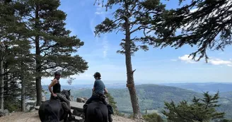 Activités équestres à la Maison des poneys