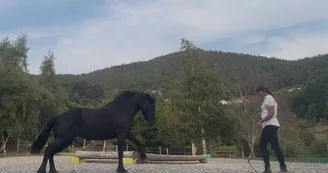 Activités équestres à la Maison des poneys