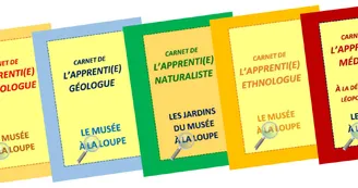 4 parcours ludiques en famille : Chasse au trésor et parcours-jeux au Musée des Vans 4 parcours ludiques en famille : Chasse au trésor et parcours-jeux au Musée des Vans