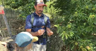 Combo Rando + Canoë avec Ardèche Sport Nature & Co