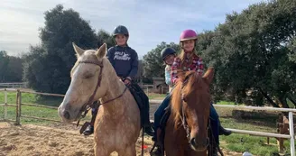 Cours d'équitation, randonnée