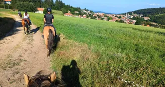 Pension équestre et travail - Domaine de Fontcouverte Pension équestre et travail - Domaine de Fontcouverte