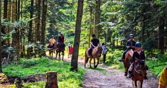 Pension équestre et travail - Domaine de Fontcouverte Pension équestre et travail - Domaine de Fontcouverte
