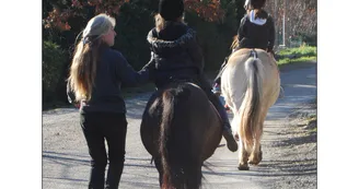 Balades à poney ou à cheval avec Crinières aux vents