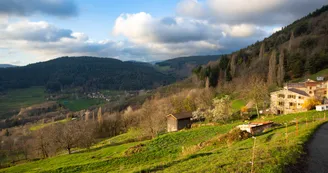 Les Pampilles Encrées