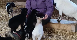 Mini ferme de Navas