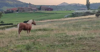 Mini ferme de Navas