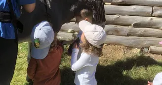 Visite de l'asinerie et/ou balade avec un âne baté Visite de l'asinerie et/ou balade avec un âne baté