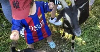Visite de l'asinerie et/ou balade avec un âne baté Visite de l'asinerie et/ou balade avec un âne baté