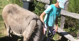 Visite de l'asinerie et/ou balade avec un âne baté Visite de l'asinerie et/ou balade avec un âne baté