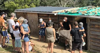 Visite de l'asinerie et/ou balade avec un âne baté Visite de l'asinerie et/ou balade avec un âne baté
