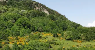 La pause nature sauvage