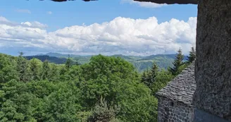 La pause nature sauvage