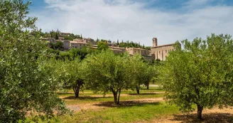 Aire de camping car "Camping car park"