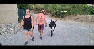 Balade avec des ânes bâtés - Ecozootrek