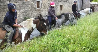 Randonnée Équestre Accompagnée - Equitation Chavetourte