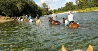 Randonnée Équestre Accompagnée - Equitation Chavetourte