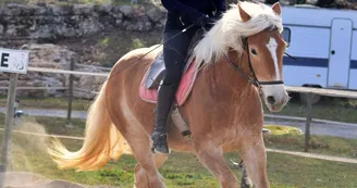 Randonnée Équestre Accompagnée - Equitation Chavetourte