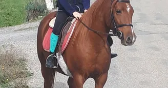 Randonnée Équestre Accompagnée - Equitation Chavetourte