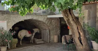 Randonnée Équestre Accompagnée - Equitation Chavetourte