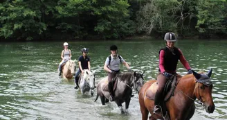 Randonnée Équestre Accompagnée - Equitation Chavetourte