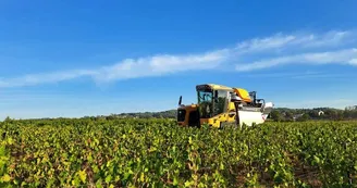 Gaec Domaine des Champs- Vermeil