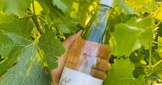 Gaec Domaine des Champs- Vermeil