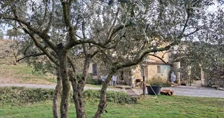 Gîte de l'Espine