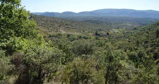 Gîte de l'Espine