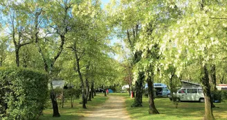 Aire de service/accueil camping-car au camping la Digue
