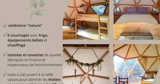 Dôme géodésique "forêt"