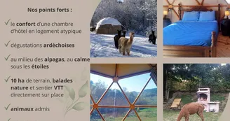 Dôme géodésique "forêt"