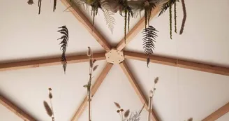 Dôme géodésique "forêt"