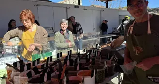 Tous les dimanches c'est jour de marché sous la Halle