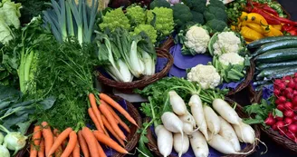 Marché de Producteurs Bio