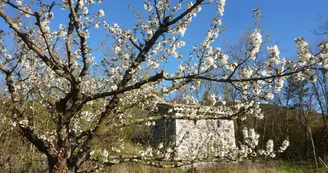 Ferme et Distillerie Beautheac