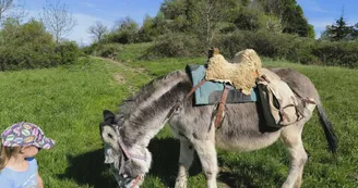 Escapade Pays'âne - Randonnée avec un âne