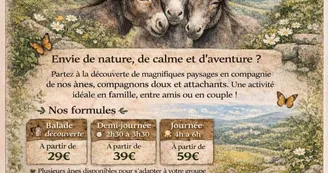 Escapade Pays'âne - Randonnée avec un âne