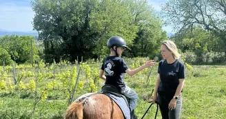 Balades à poney en main